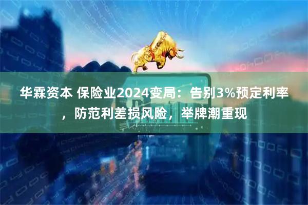 华霖资本 保险业2024变局：告别3%预定利率，防范利差损风险，举牌潮重现