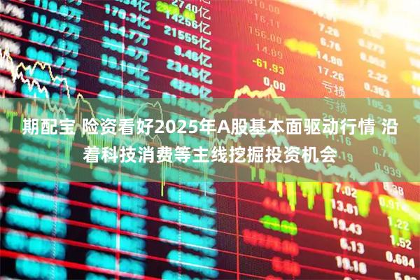 期配宝 险资看好2025年A股基本面驱动行情 沿着科技消费等主线挖掘投资机会