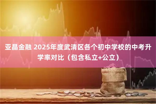 亚晶金融 2025年度武清区各个初中学校的中考升学率对比（包含私立+公立）