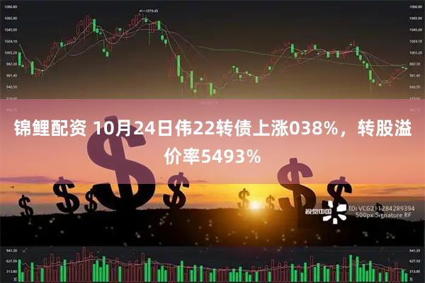 锦鲤配资 10月24日伟22转债上涨038%，转股溢价率5493%